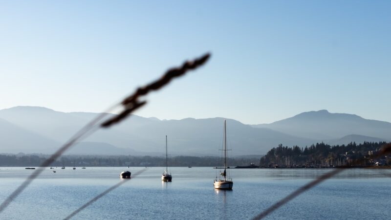 Wenjie Chinese Restaurant