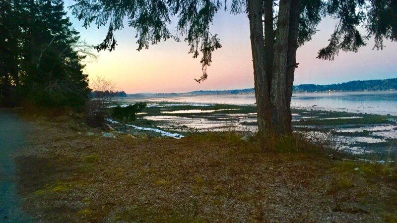 Hands By The Sea Massage Therapy