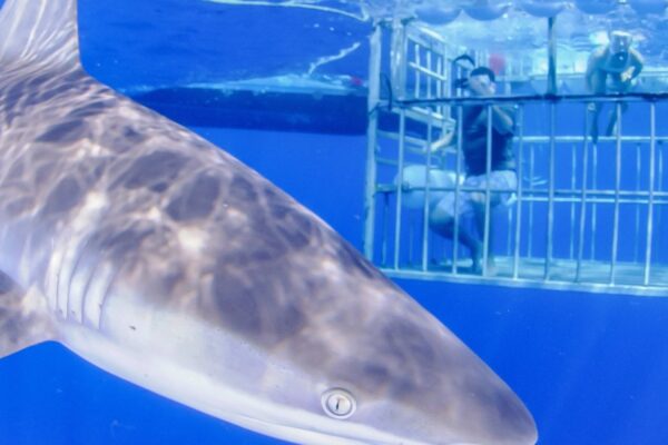 Mulberryland Guest House