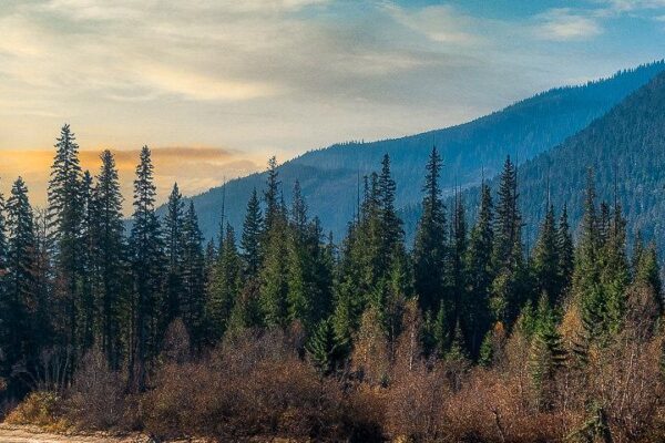 Little Bear Garden View B&B