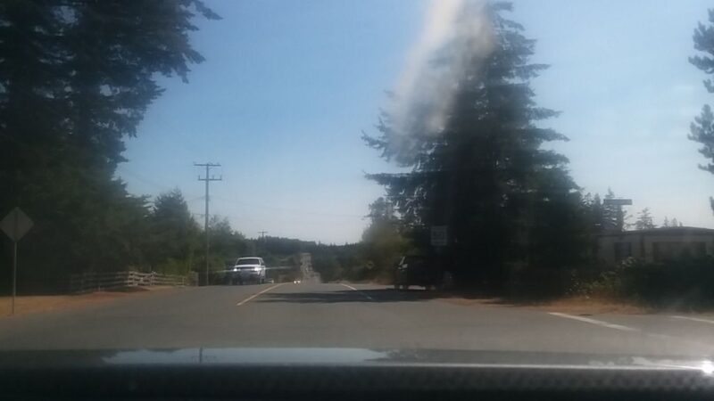 Shamrock Veterinary Clinic