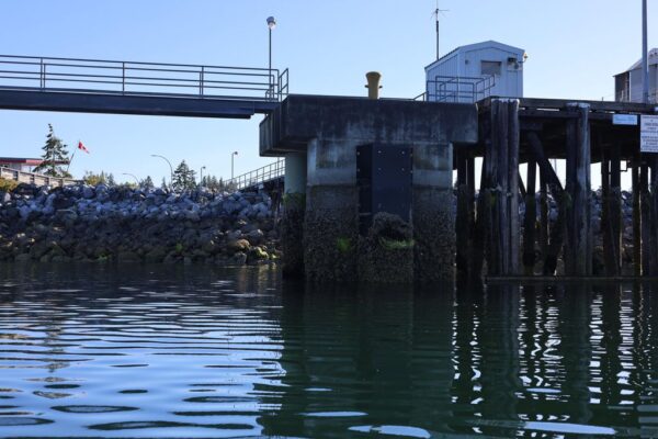 The Comox Waterfront