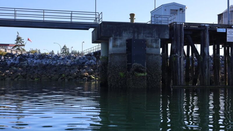 The Comox Waterfront