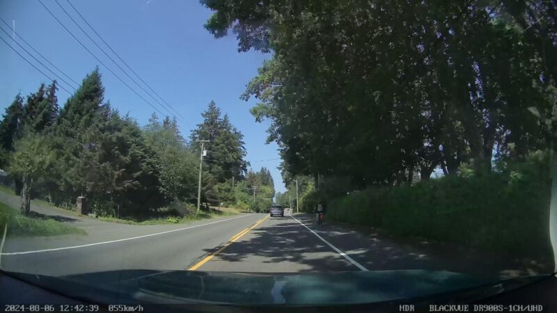 The Life Cycle of the Coho Salmon