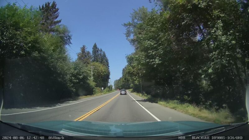 Nurse Logs, Snags and Wildlife Trees