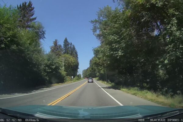 Stratification in the Millard Forest