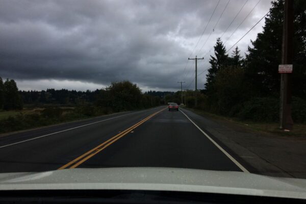 Courtenay Marina Park